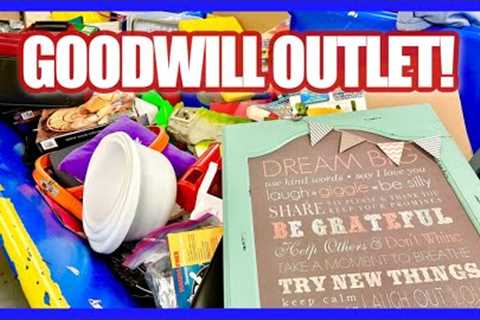 I FOUND IT AT THE GOODWILL OUTLET BINS! THRIFT WITH ME &amp; Haul!