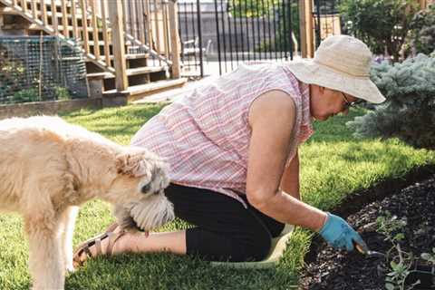 Ten Tips for Gardening with Your Dog