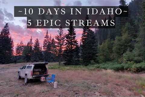 Fly Fishing Idaho - 10 days off the grid - 5 amazing streams!