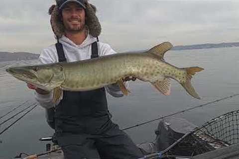 Fishing Lake Geneva Muskies w/ Austin Wiggerman Guide Service - Fish With Teeth Outdoors