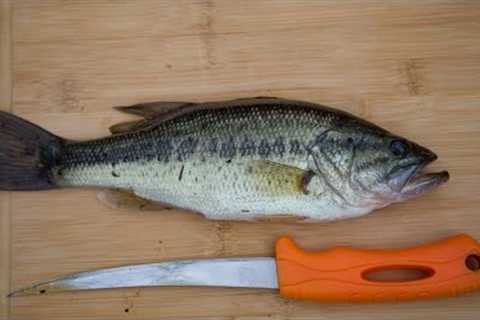 Largemouth BASS Catch and Cook