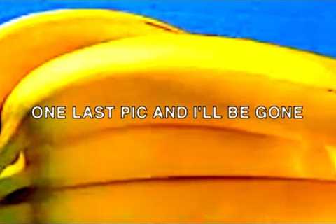 $uicideBoy$ – ...And To Those I Love, Thanks For Sticking Around (Lyric Video)