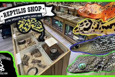 TOURING AN AWESOME REPTILE SHOP IN FRANCE! (Reptilis Shop)