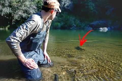 Local Fail and Last Day of the Fly Fishing Season.