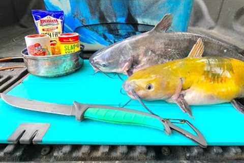Channel vs Blue Catfish Catch n' Cook Taste Test! Which Is Better??