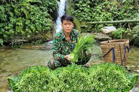 Harvest chives and bring them to the market to sell &amp; take care of pets