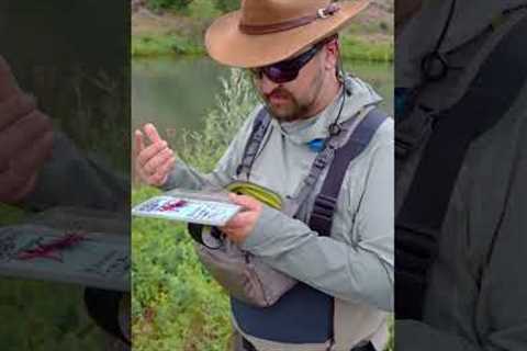 [Pro Tip] Fly Fishing with Dry Flies
