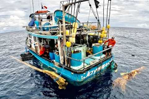 We Found 7 Men on a Crazy Boat Surviving off the Ocean ! (Tuna Catch Clean &amp; Cook)