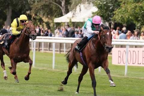 WOW! Nostrum makes serious impression on his return to action
