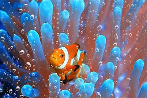 Relaxing music relieves stress, anxiety and depression 🌿 Heals the mind, body and soul