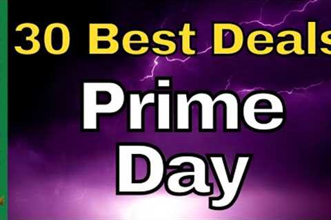 30 Best Prime Day Deals For Preppers(&amp; Preparedness Ideas)