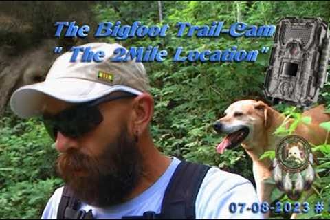 THE BIGFOOT TRAIL-CAM, IS SET UP AT THE 2MILE LOCATION! Please Read Below