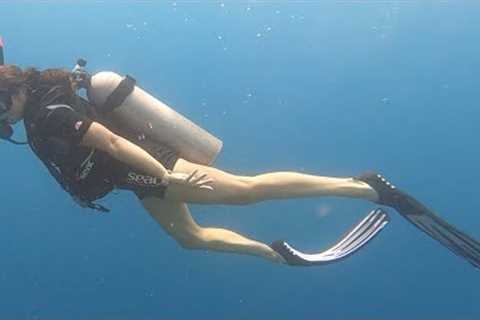 My First Time SCUBA Diving