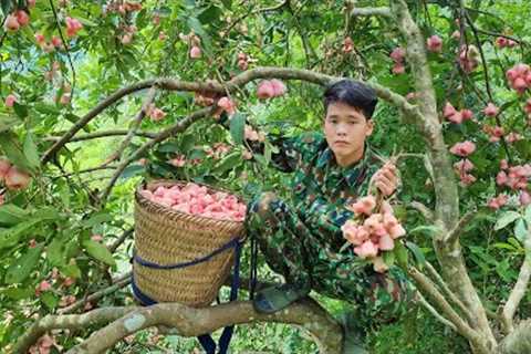 Harvest the whip fruit and bring it to the market to sell &amp; take care of pets