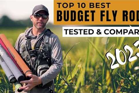 Best Budget Fly Rods of 2023 (Reviewed &amp; Compared)