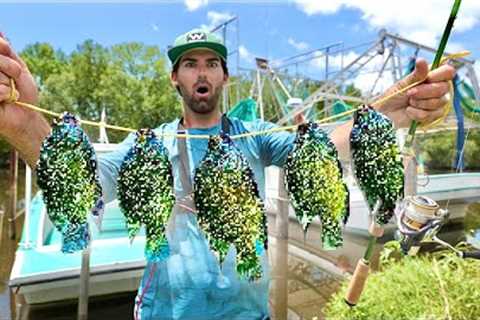It's ILLEGAL To Release These Beautiful Fish ALIVE! -- CATCH and COOK Invasive Species! (NEW PB x12)