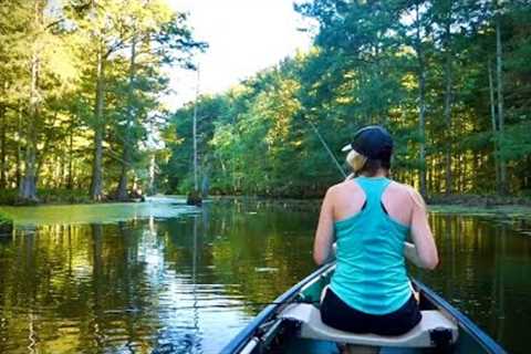 2 HOURS of AMAZING Bass Fishing in a SWAMP LAKE!!!!