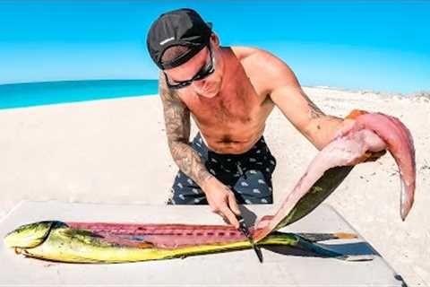 Catch And Cook With $20 Spear Gun In Deep Ocean