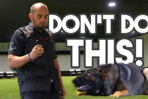 The Secret to Reward Placement - Dog Training 101