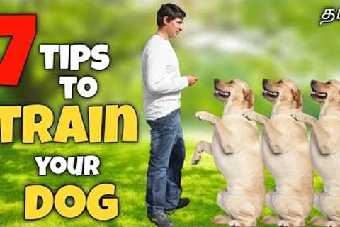 7 tips for training a dog | How to train | Basics | funny😂