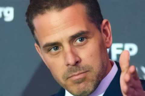 The juicy details about Hunter Biden’s bitter divorce shock everyone