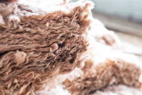 Why Should You Consider Sheep Wool Insulation for Your Home?