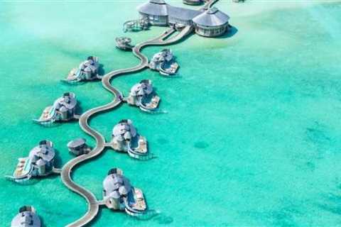 The Best Diving Sites in Maldives: A Diver's dream