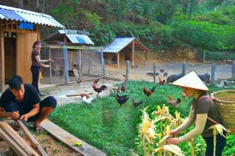 Together build a new life together - Wife gardening, Husband repairing house