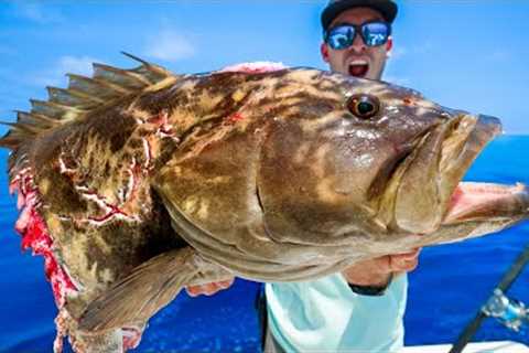 Giant Fish Are Dying. They Don't Have To (Catch, Clean &amp; Cook Grouper)