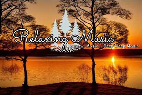 The melodious melodies, light music help to relax the mind, reduce stress and fatigue