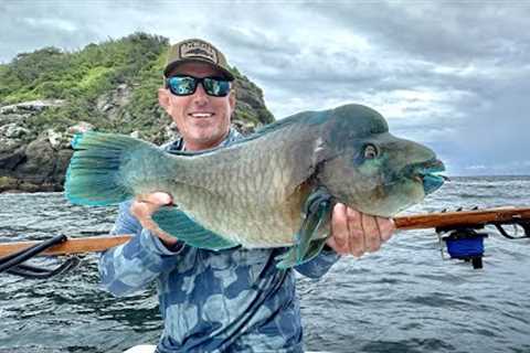 Parrot Fish and Lobster on a Remote Island in the Pacific (Catch Clean &amp; Cook)