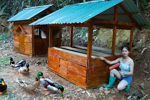 make a house for ducks, build a farmhouse - life in the forest
