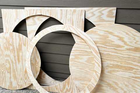 How to Build a Cat Wheel