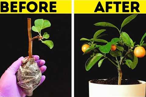 40 AWESOME IDEAS FOR YOUR GARDEN || Gardening Hacks by 5-Minute Decor
