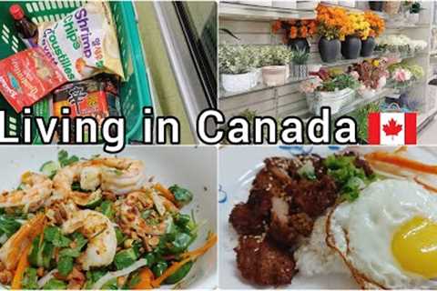 Daily life living in Canada| Grocery shopping | Vietnamese lemongrass chicken | Shrimp salad