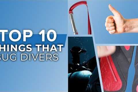 10 Little Things That Bug Scuba Divers #scuba @ScubaDiverMagazine