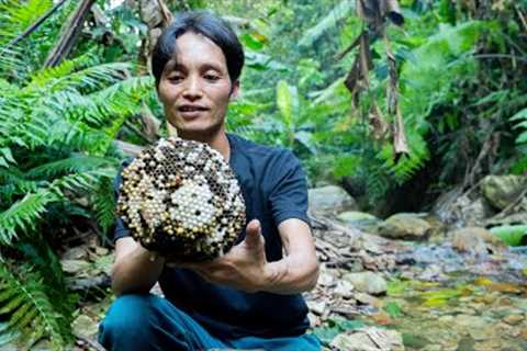 2 Days Of Foraging in The Jungle And The Results Were Amazing. Lots Of Meat, Bee Pupae