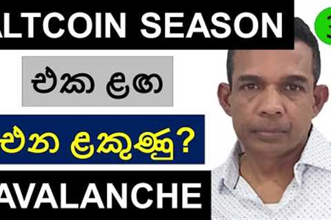 IS THE ALTCOIN SEASON AROUND THE CORNER? | AVALANCHE AND BITCOIN
