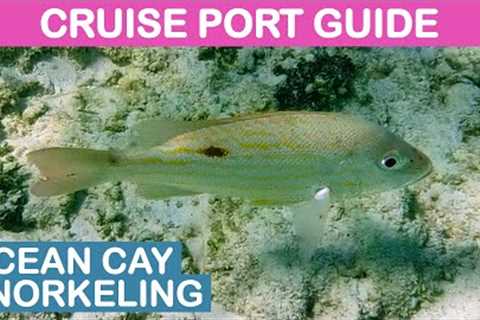 Ocean Cay (Bahamas): Snorkeling On Your Own