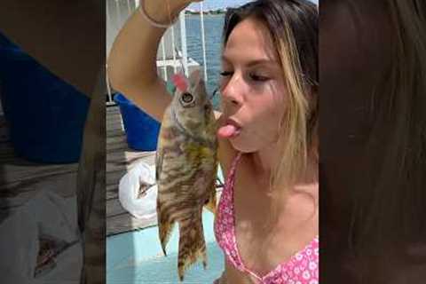 WHEN YOU KICK YOUR BAIT INTO THE WATER
