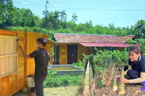 Harvest super large bamboo shoots. Together Completing the new bedroom