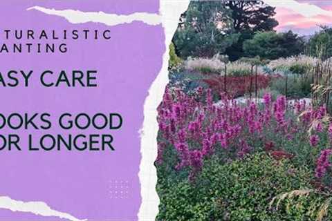 Naturalistic planting design - how to get it right in your own garden