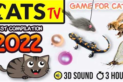 GAME FOR CATS - BEST 2023 Cats TV compilation 🦎🪩🐭 [60fps] 3 HOURS