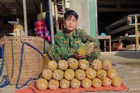 Harvest pineapple to bring to the market to sell and buy chicks to raise