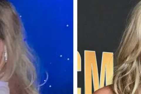Miranda Lambert Concertgoer Responds to Selfie Shaming: Felt like a 'Teacher Scolding Me'