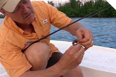 How to Rig Live Worms - 3 Effective Ways