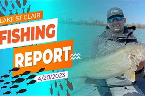 Lake St. Clair Fishing Report 4/20/2023
