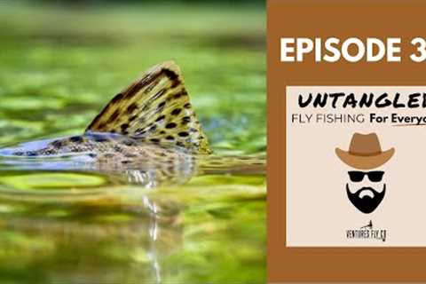 The One Thing Fish ALWAYS Ignore | Ep. 31
