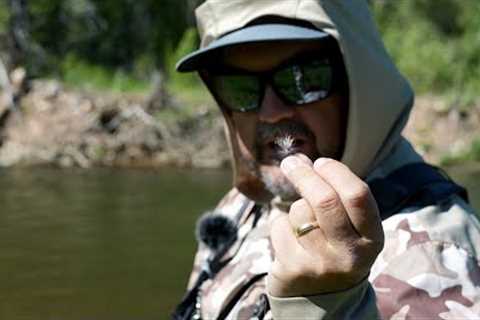 What Happens When You Mix Up Your Fly Fishing Techniques? - Fly Fishing Trip Vlog