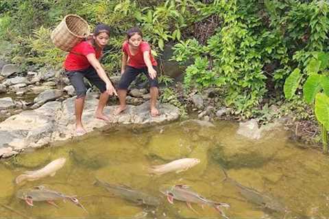 Adventure in forest: Catch fish by hand to cook for survival - Fish soup tasty Eating with sister